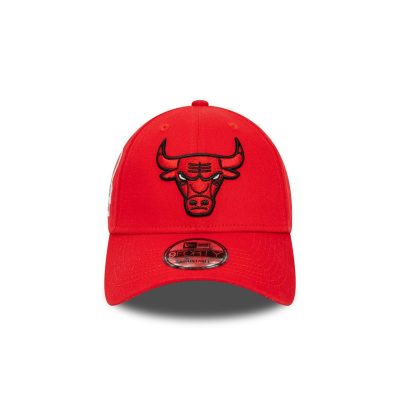 bulls.jpeg